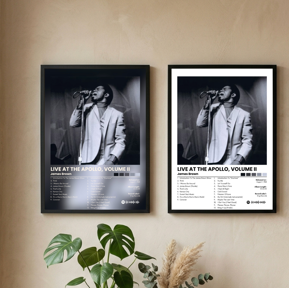 Cuadro James Brown| Live at the apollo volume II