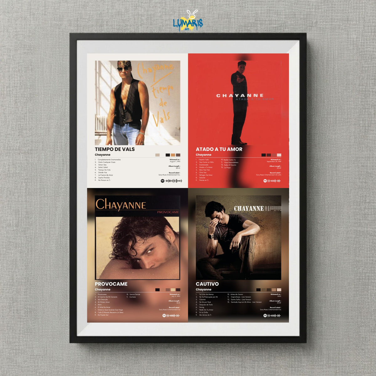 Cuadro Chayanne Colección
