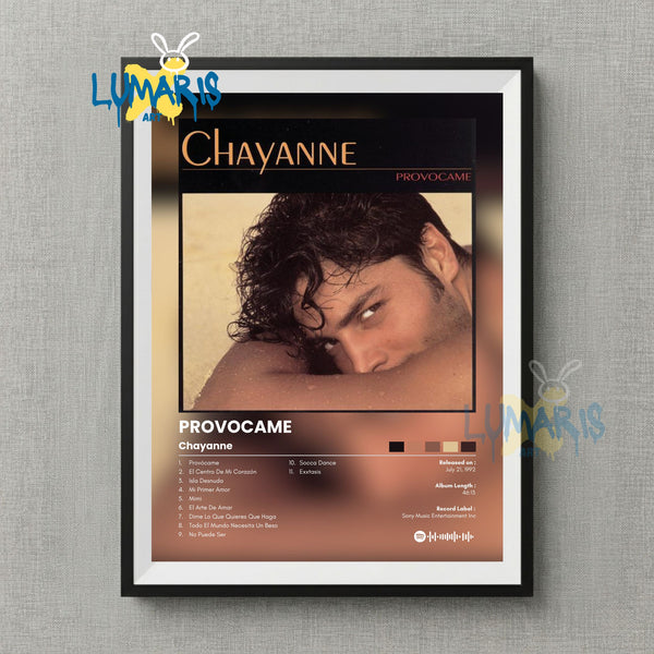 Cuadro Spotify Chayanne