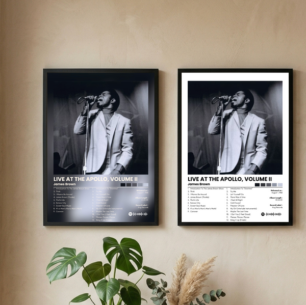 Cuadro James Brown| Live at the apollo volume II