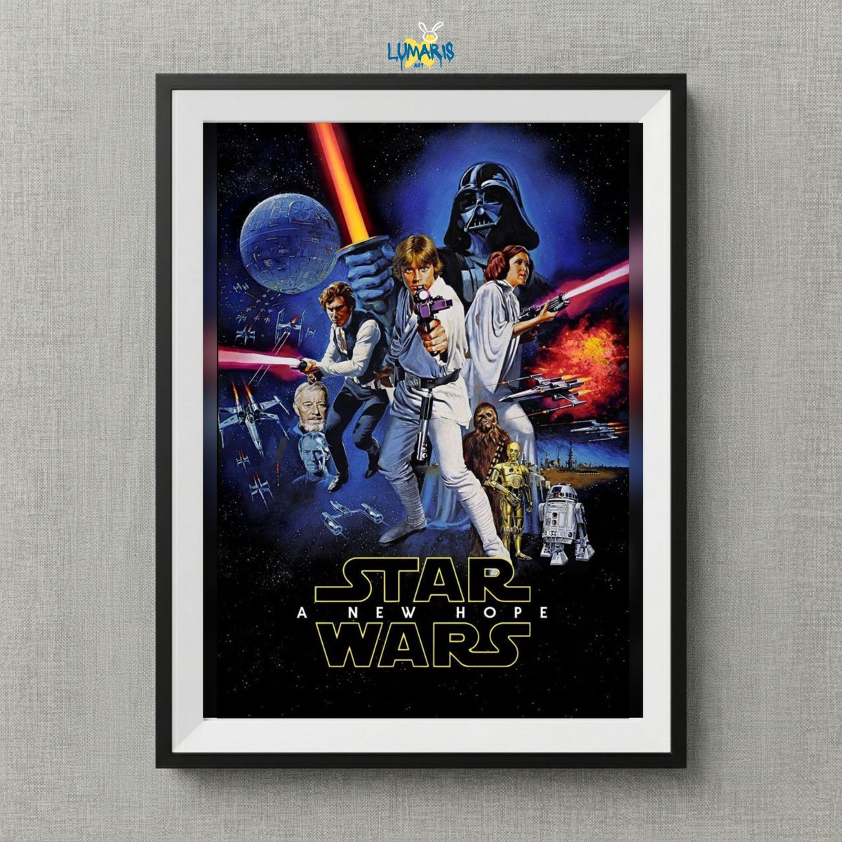 Cuadro Star war a new hope