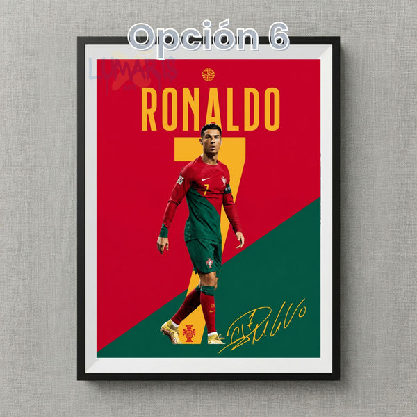 Diseño Opción 6