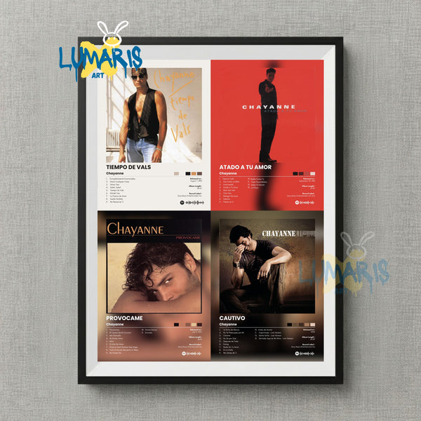 Cuadro Spotify Colleción Chayanne