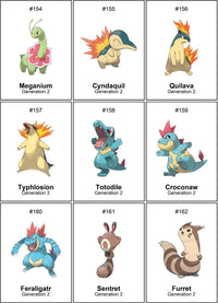 Pack (2) 1025 Pokedex