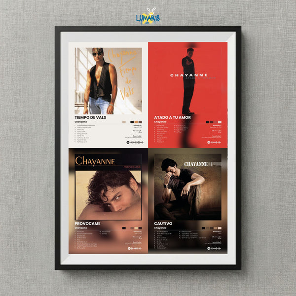 Cuadro Chayanne Colección