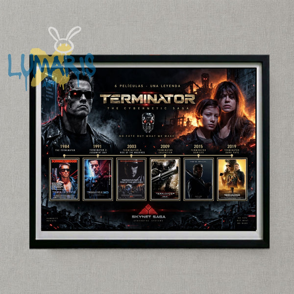 Cuadro Decorativo Terminator
